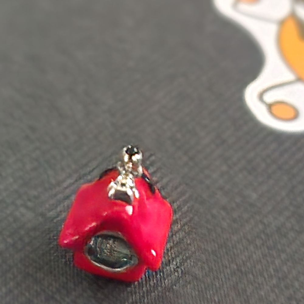 Red Dog House Charm